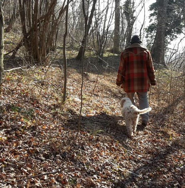 Truffle hunting &amp; wine tasting in the vicenza hills