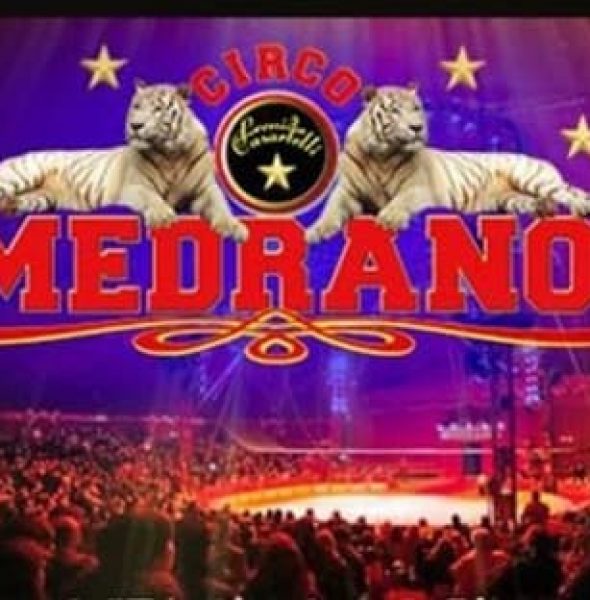 Medrano Circus in Vicenza