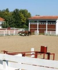 Ropes Ranch Horse Riding in Grisignano di Zocco