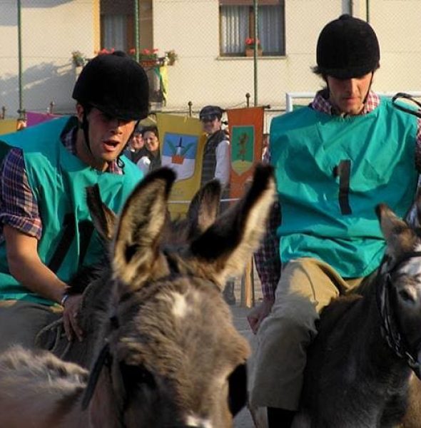 The Palio delle Contrade di Romano &#8211; Donkey Ride