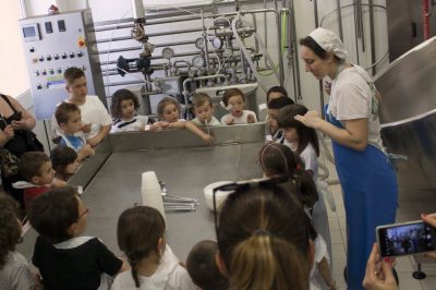 Cheese making workshop with kids