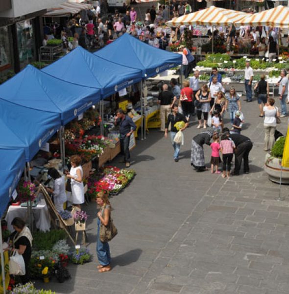 The Sunday Town Market of Camisano Vicentino