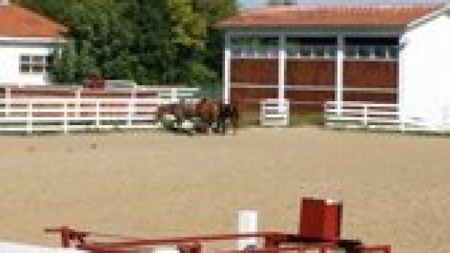 Ropes Ranch Horse Riding in Grisignano di Zocco