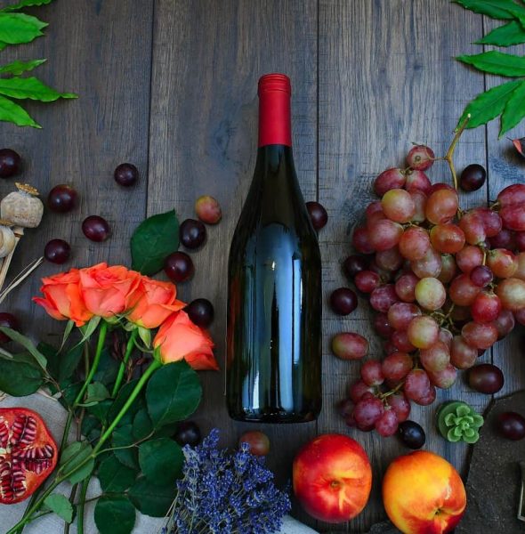Last taste of Fall in the Euganean Hills &#8211; Wine tasting &#038; lunch