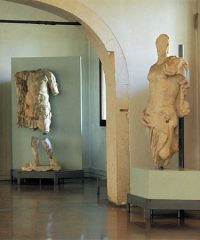 Natural History and Archaeological Museum Vicenza